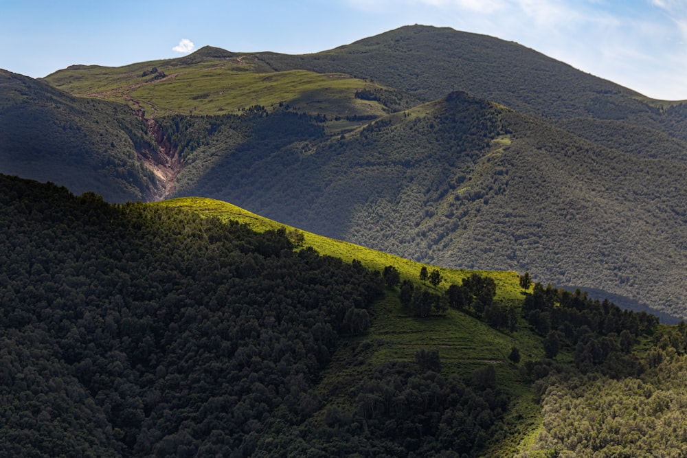 a view of a mountain range with trees on the side