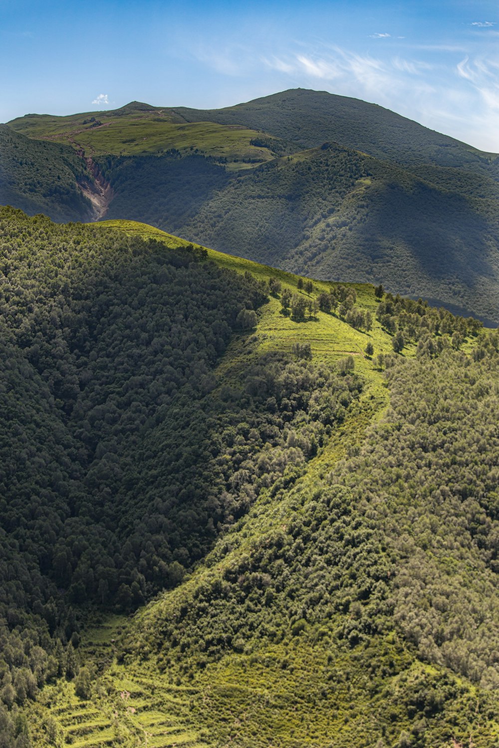 uma vista de uma colina verde exuberante com montanhas ao fundo