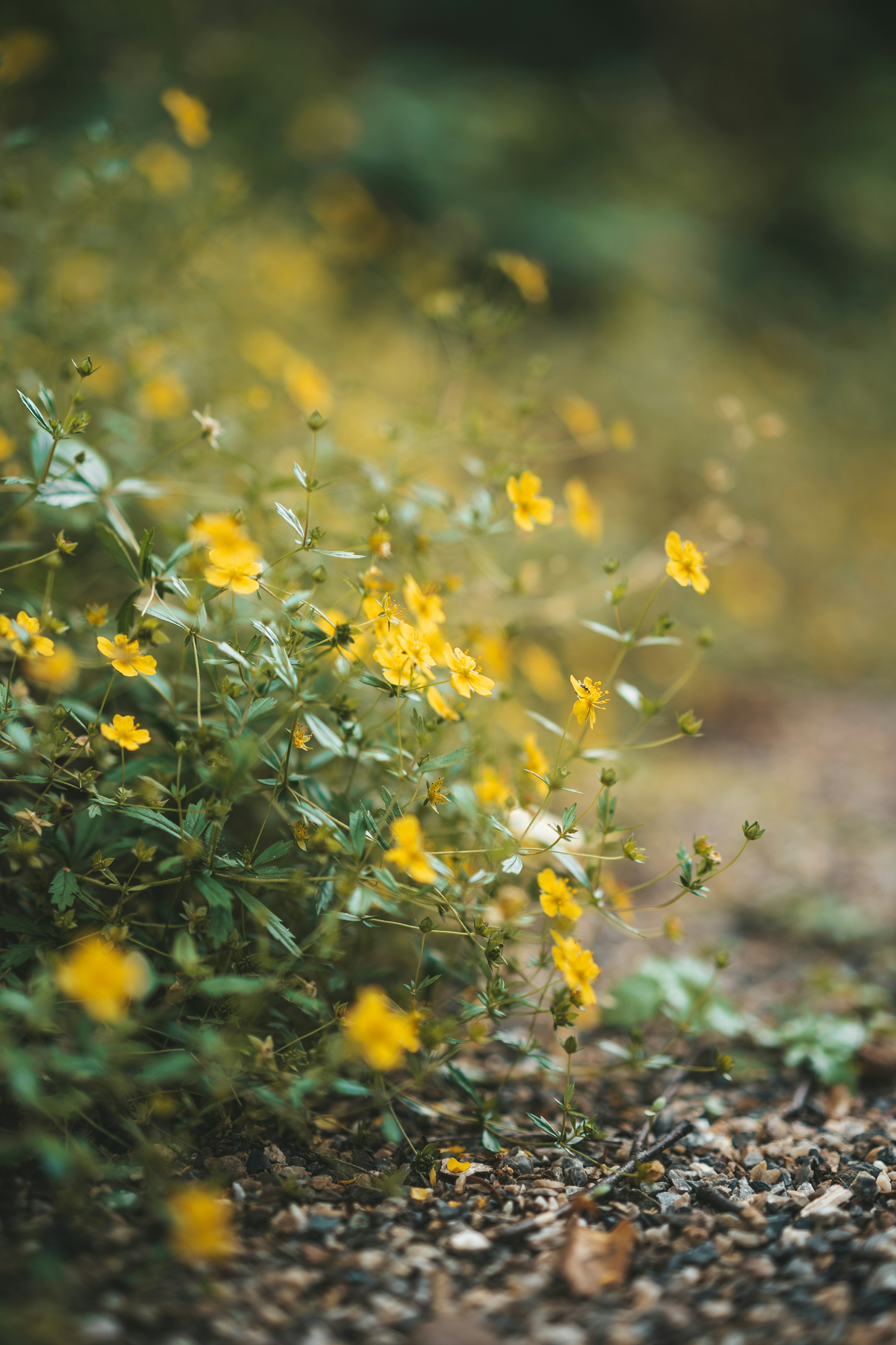 Photo by anamnesis33