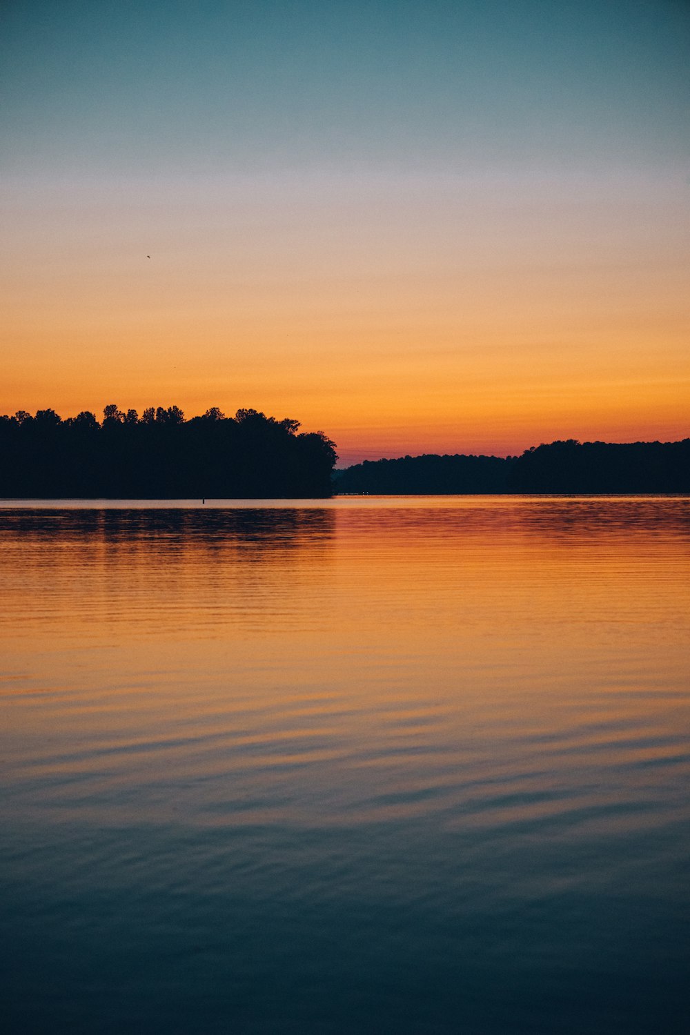 a body of water with trees in the distance