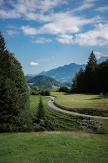 A scenic view of a winding path through a lush green landscape, inviting sustainable travel.