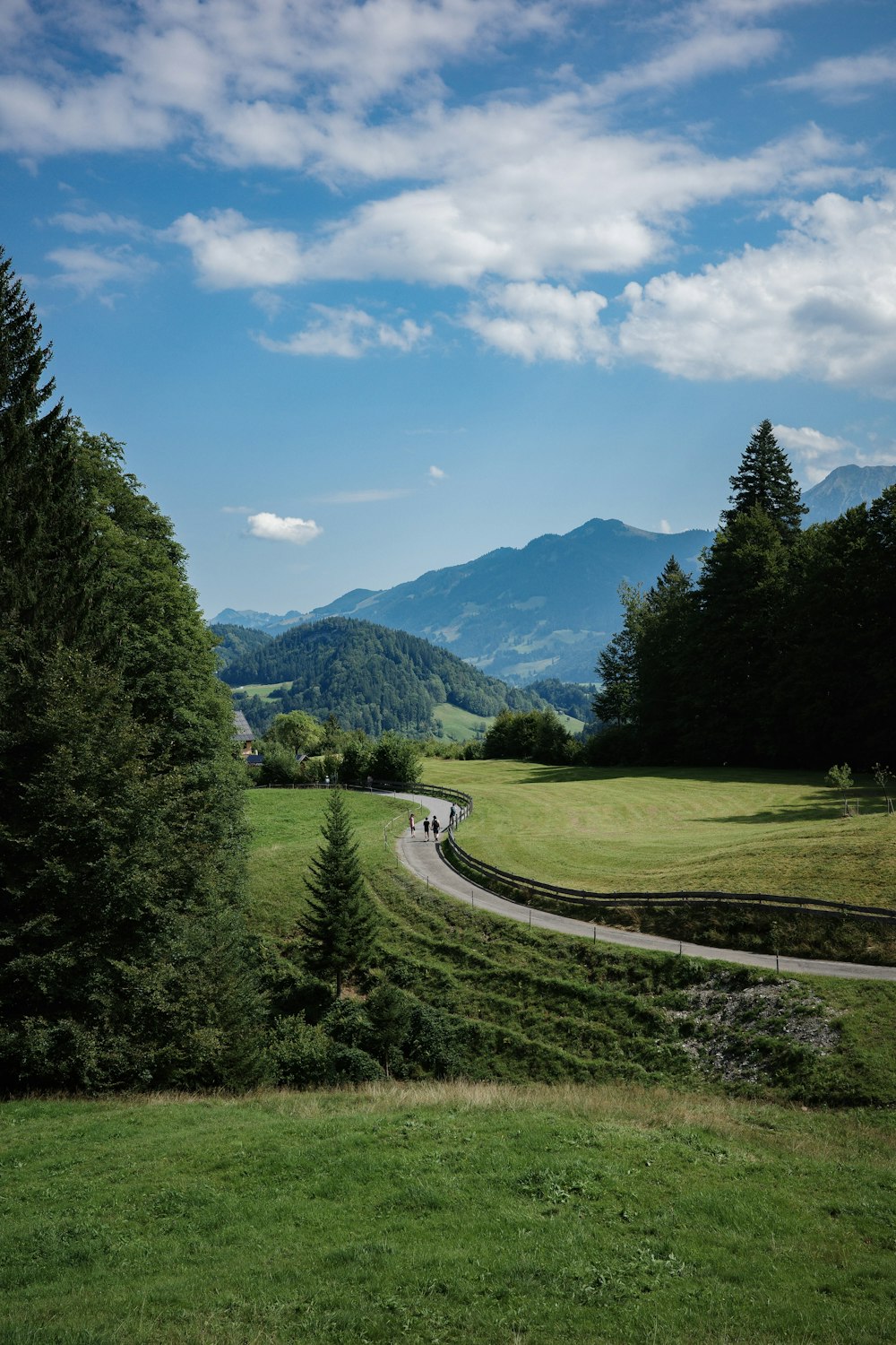 a group of people walking down a road through a lush green field