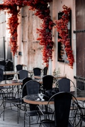 An outdoor cafe setting with black wrought-iron chairs and tables. A black and white cat is lounging on one of the tables. Red foliage decorates the walls above the cafe setting, with a rustic wooden door in the background.