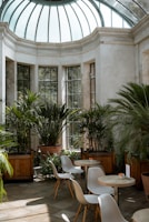 An inviting communal space filled with plants and comfortable seating.