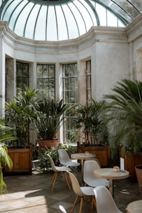 A vibrant, welcoming meeting space filled with natural light and plants.