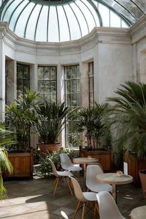 An inviting communal space filled with plants and comfortable seating.