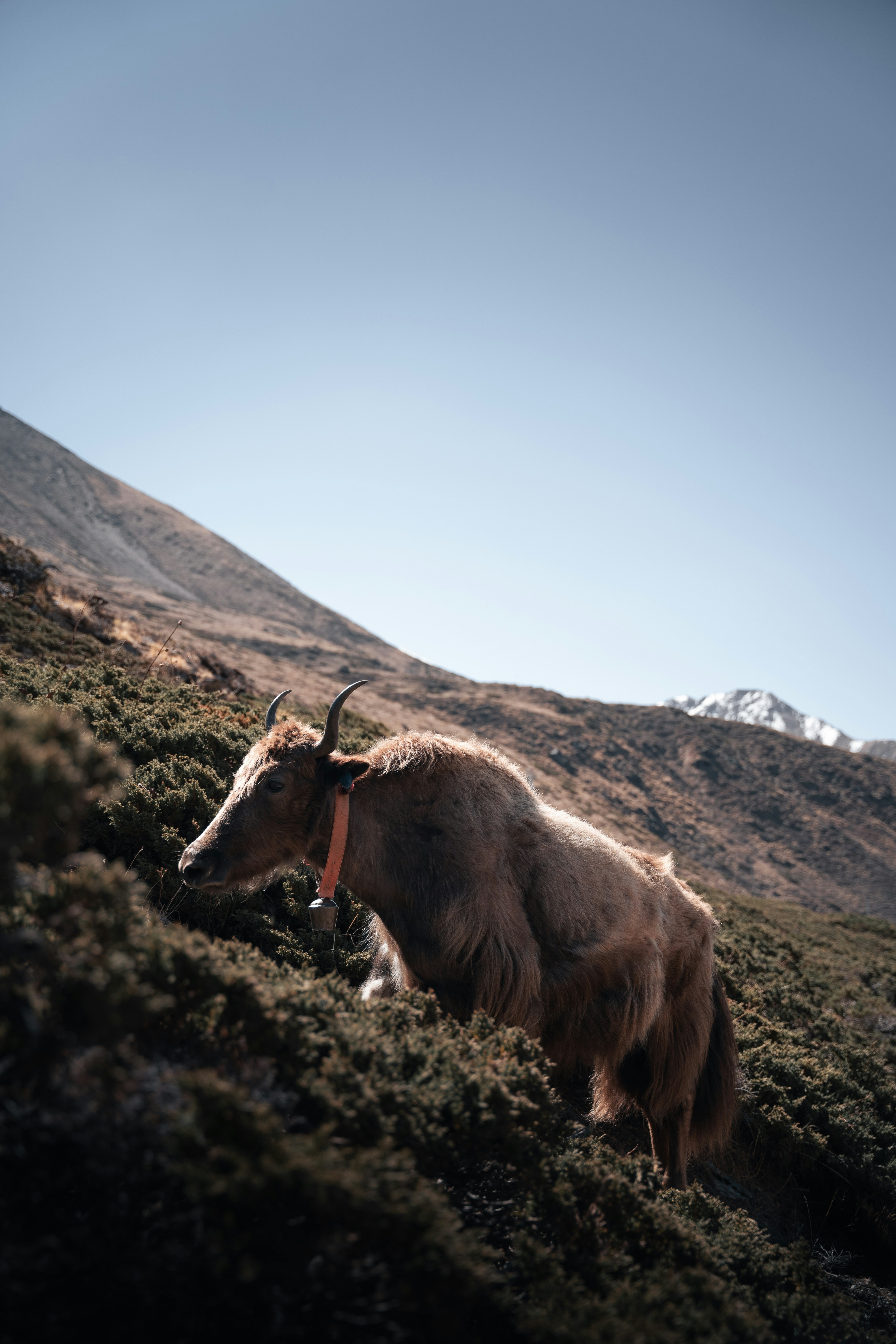 Photo by auchynnikau