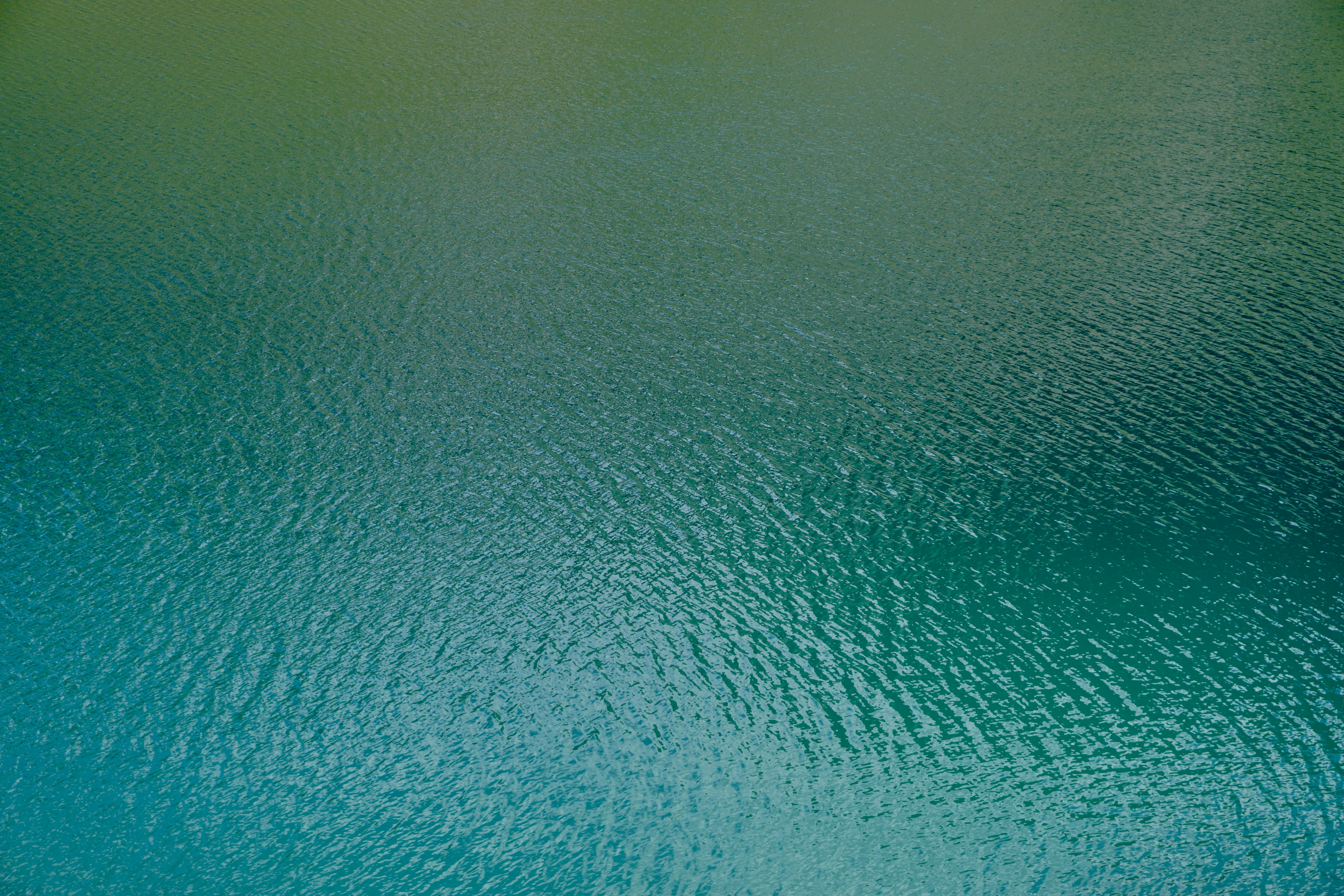 Photo by peterburdon