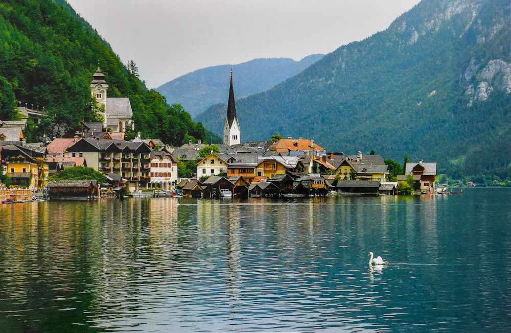 a bird is swimming in the water near a village