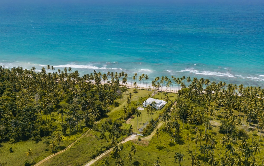 an aerial view of a beach with palm trees