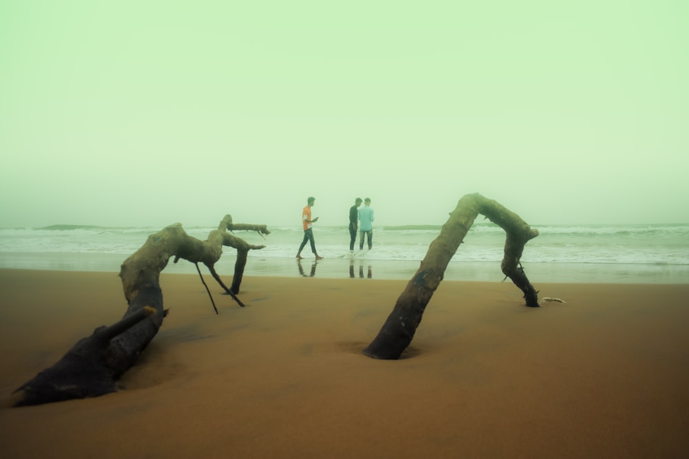 a group of people standing on top of a sandy beach