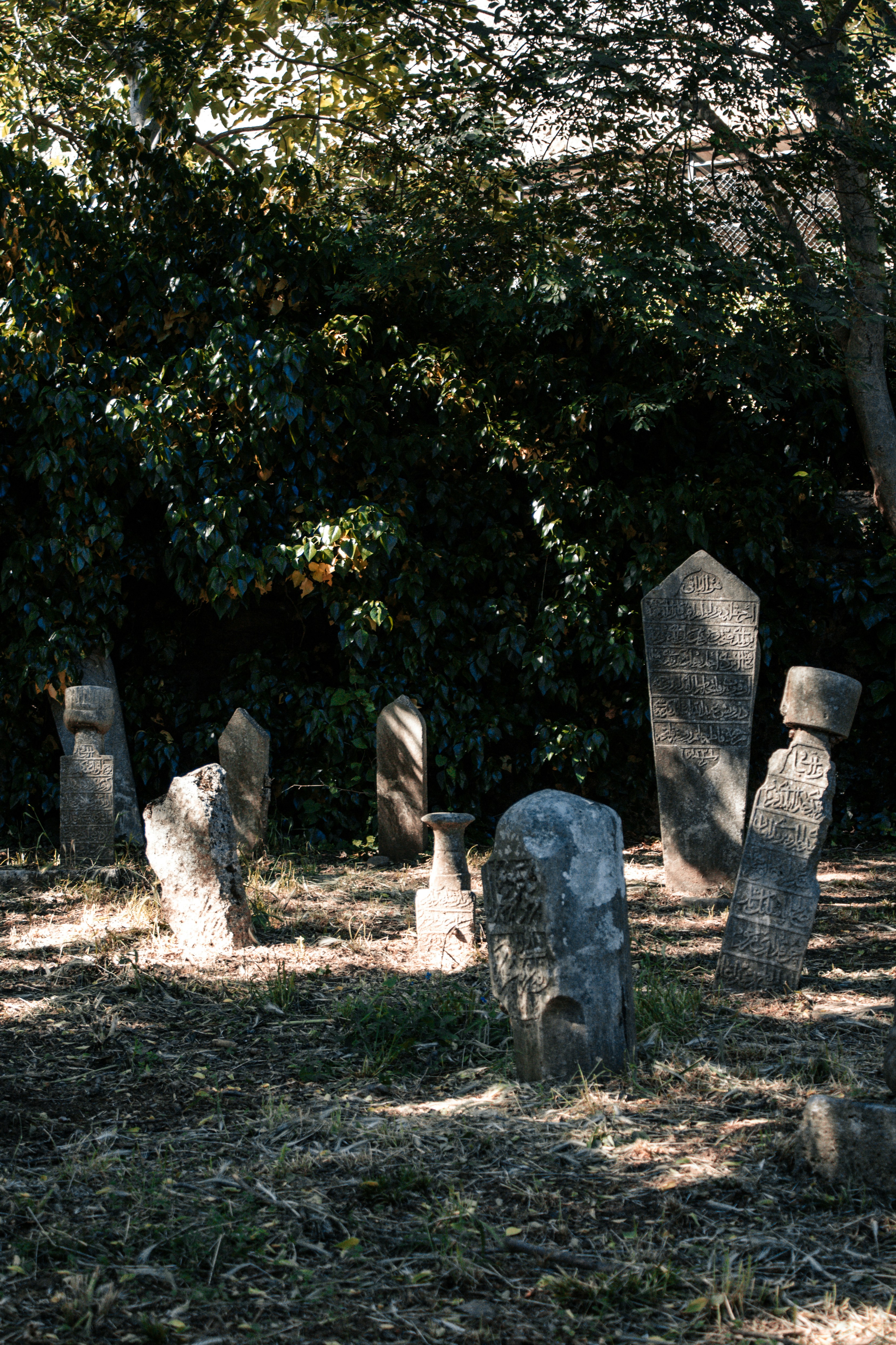 Photo by travelerchitect