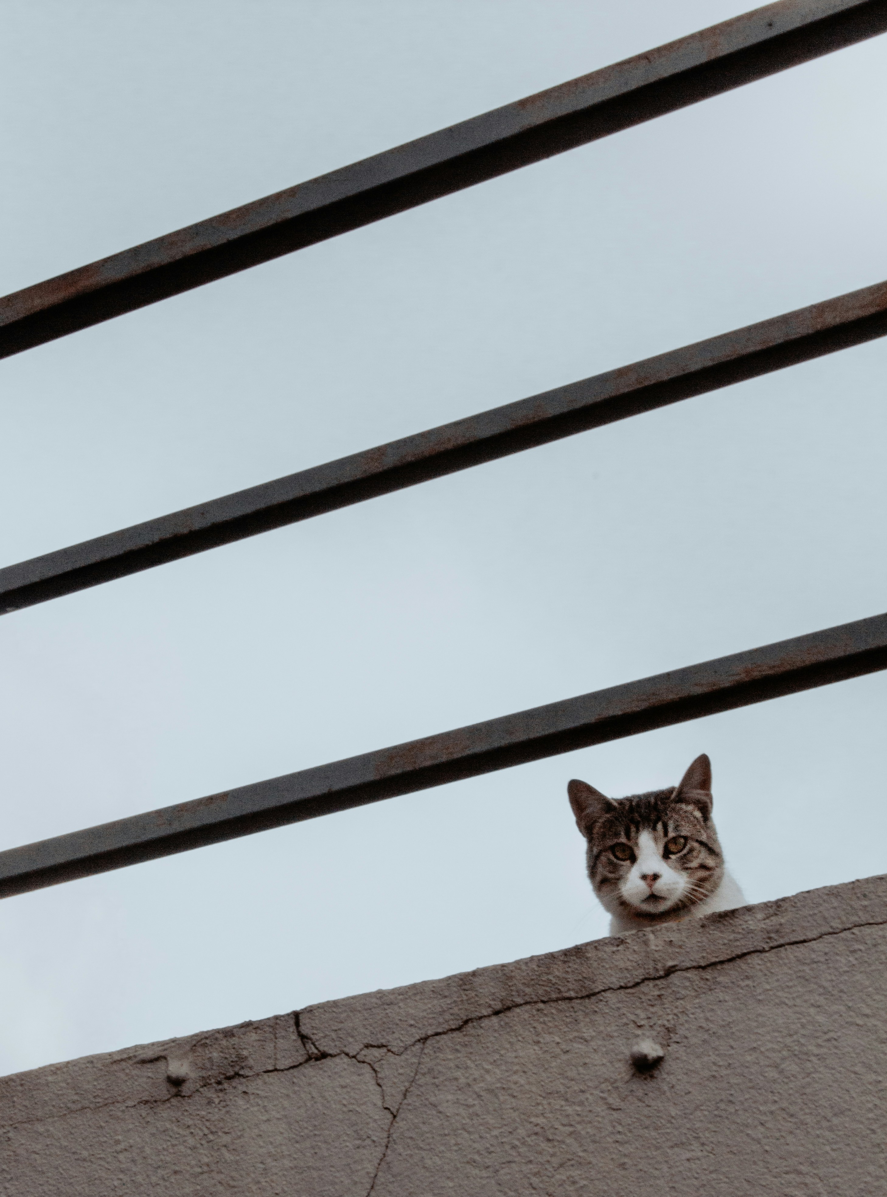 Photo by travelerchitect