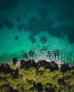 A vibrant image showcasing sustainable tourism projects.