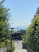 A runner jogs down a quiet, sunlit street lined with lush green trees and hedges. In the background, a large construction crane looms over a modern building, with more distant structures visible. Blue skies and a hazy view of mountains and water can be seen.