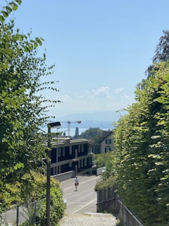 A serene morning jogger along the Odra riverbank in Legnica, with soft blue skies and lush greenery.