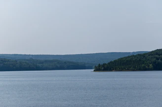 a large body of water surrounded by forest