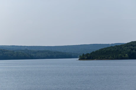 a large body of water surrounded by forest