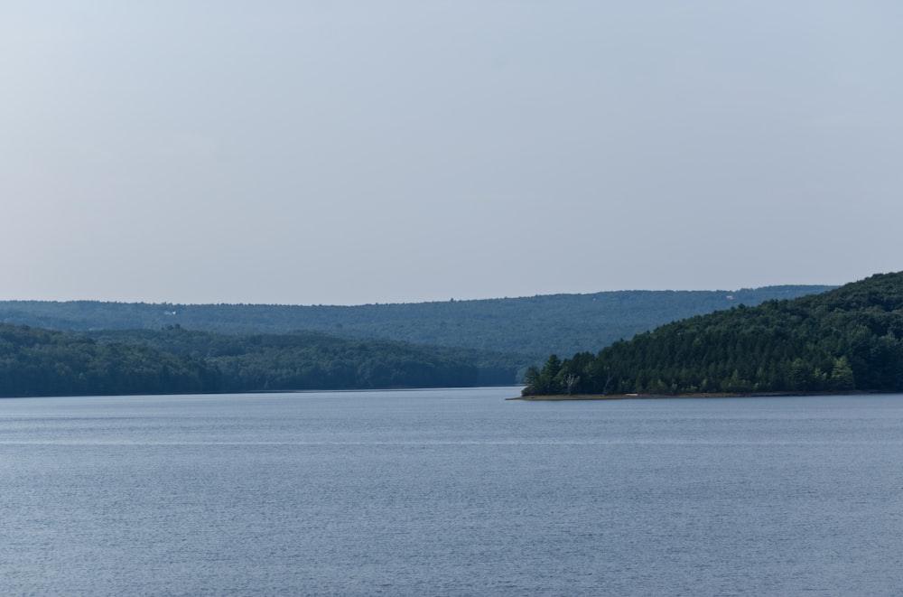 a large body of water surrounded by forest