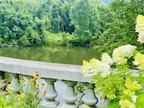 A lush green landscape with a river running alongside dense trees. In the foreground, a stone balustrade is adorned with vibrant yellow and white flowers.