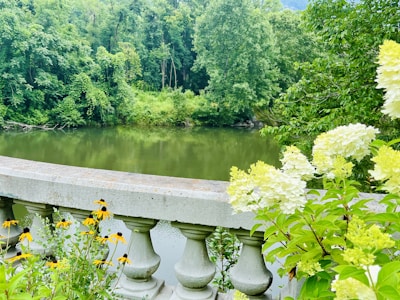 A lush green landscape with a river running alongside dense trees. In the foreground, a stone balustrade is adorned with vibrant yellow and white flowers.