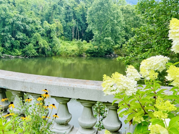 A lush green landscape with a river running alongside dense trees. In the foreground, a stone balustrade is adorned with vibrant yellow and white flowers.