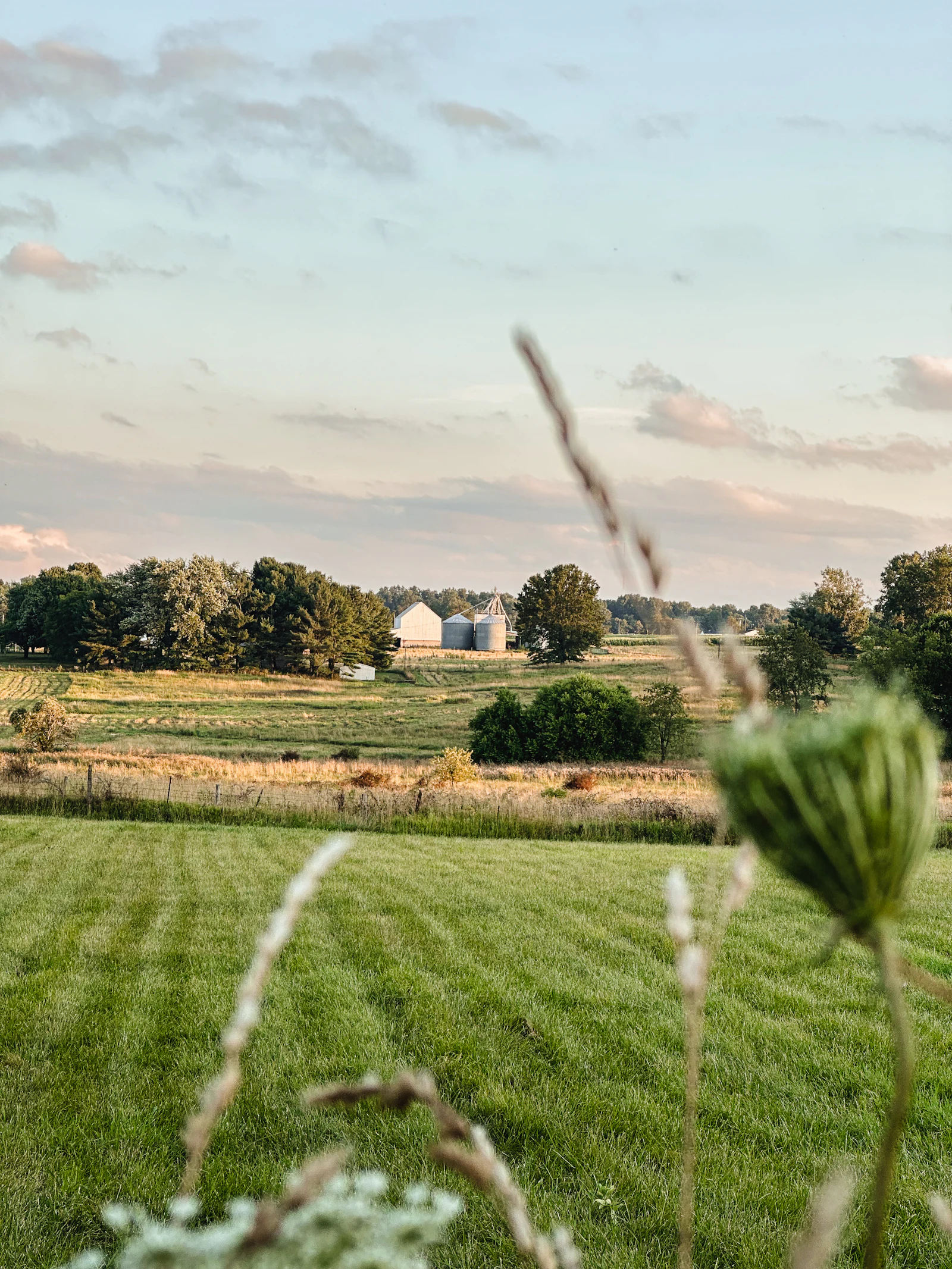 A barn and outbuildings across an open field.