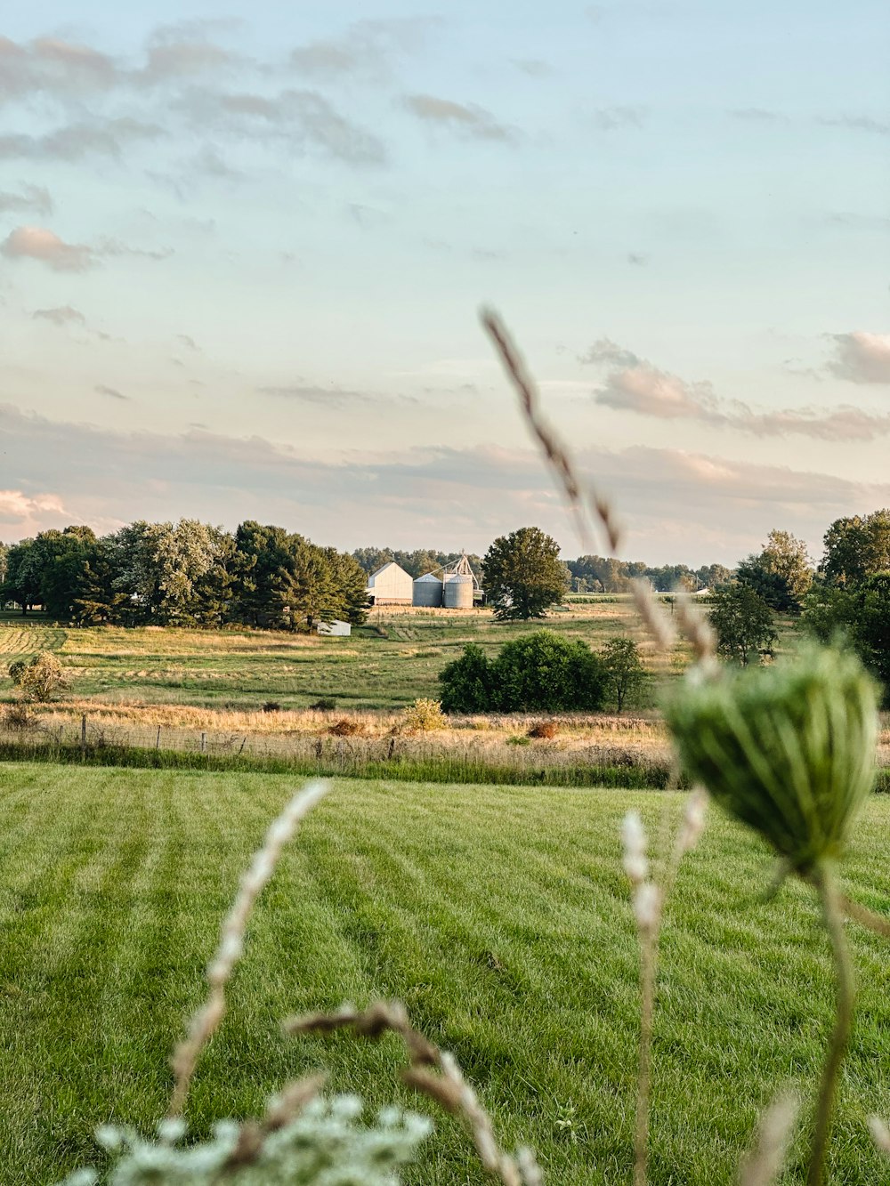 a grassy field with a barn in the distance