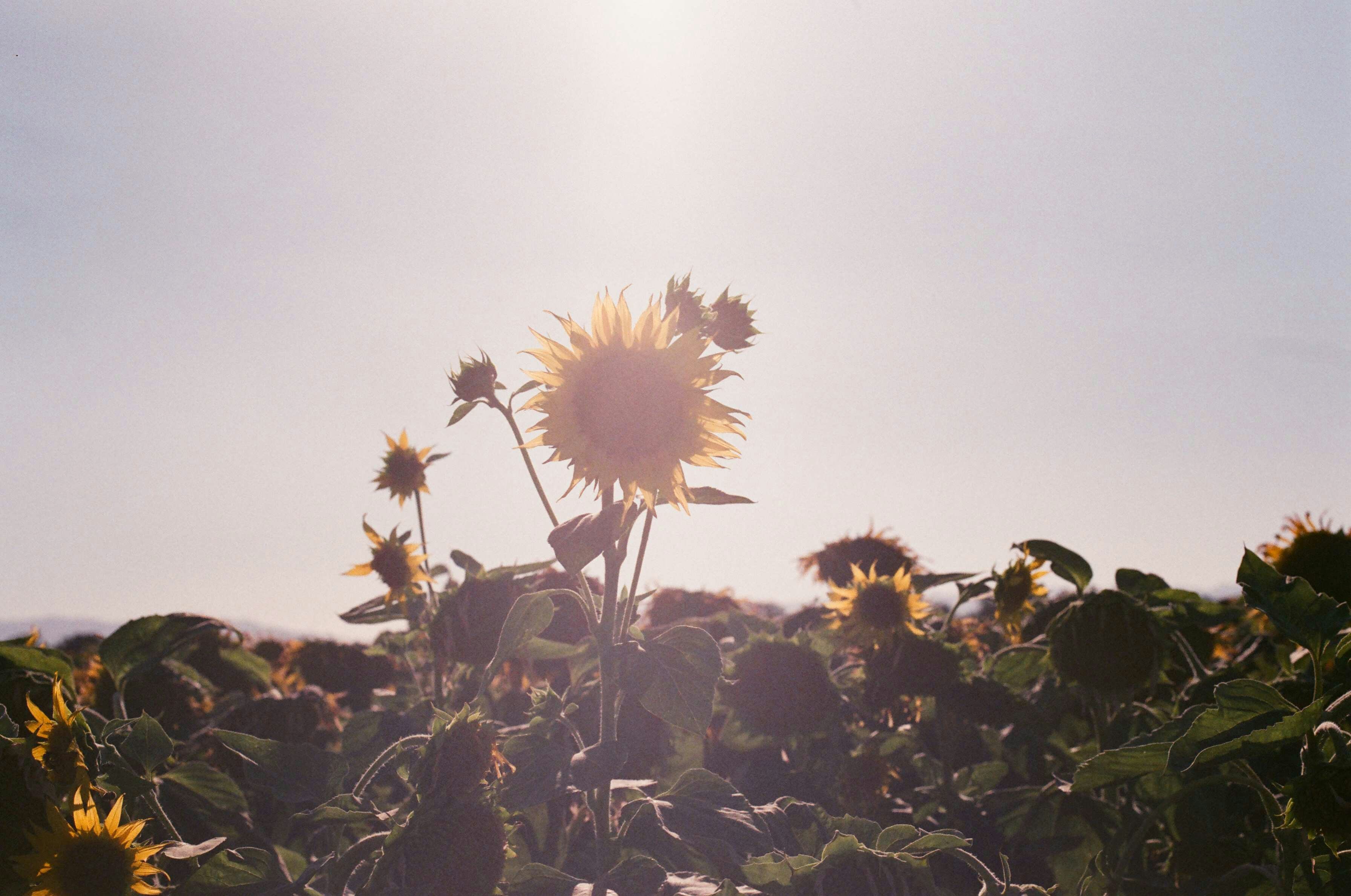 Photo by carolineturnbull3