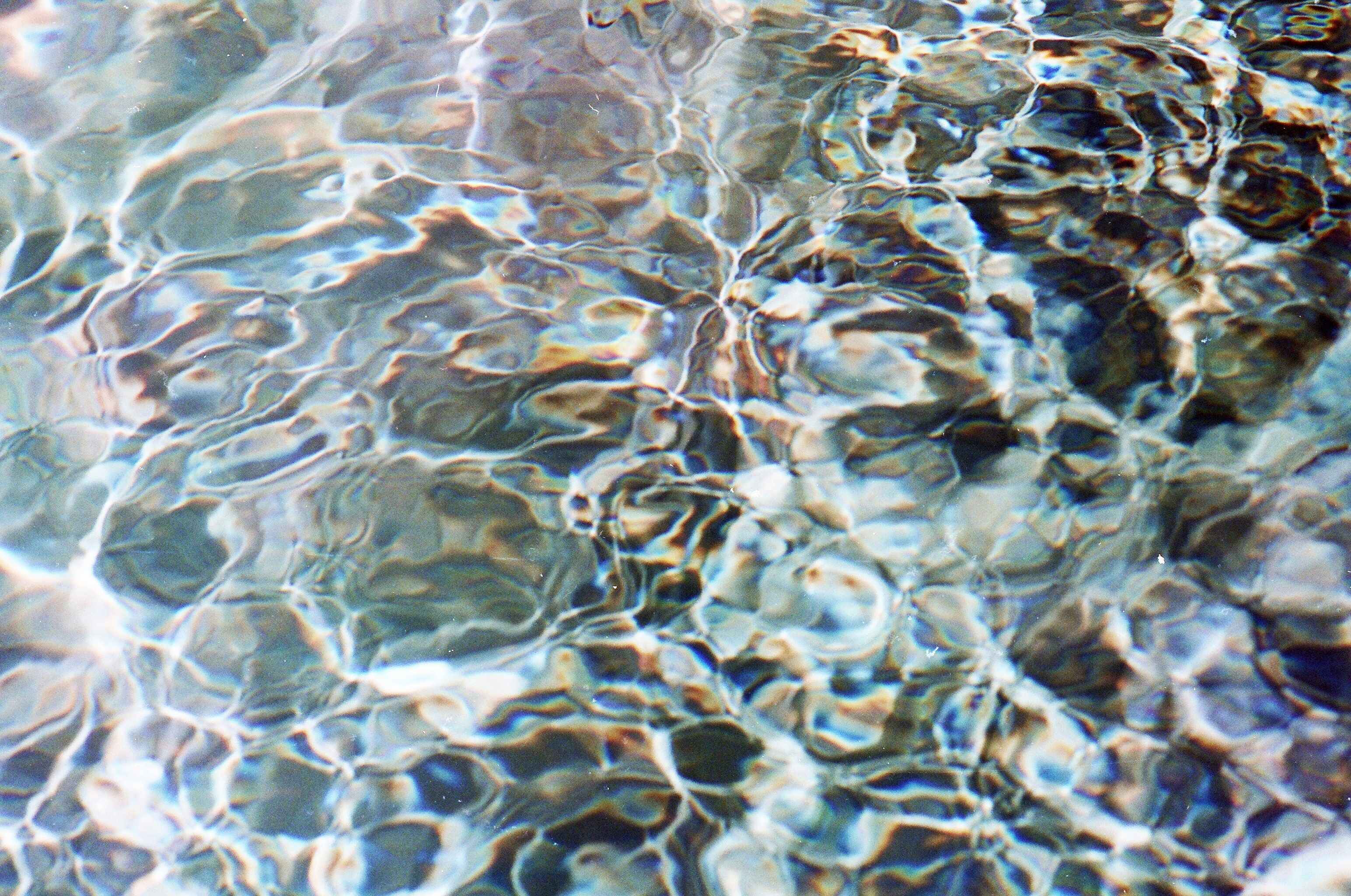 Photo by carolineturnbull3