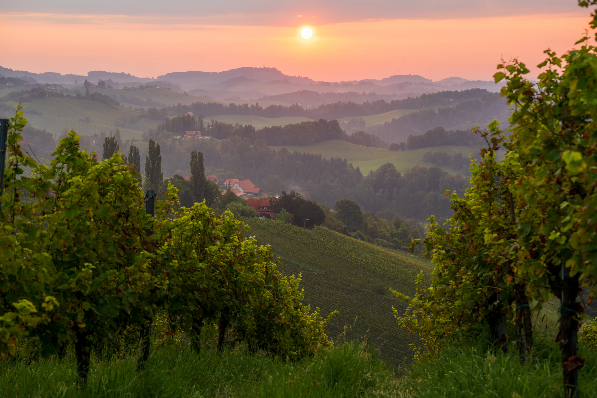 Südsteiermark