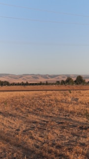 Surveyors marking boundaries on a vast open field during golden hour.