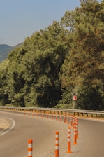 A curving road lined with orange and white traffic cones, bordered by lush green trees under a clear blue sky.