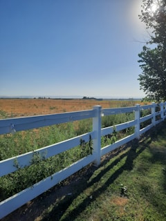 A bright, open landscape with a clear blue sky and a sunlit field. A white fence runs alongside green shrubbery, and in the distance, agricultural irrigation wheels are visible. Tall trees cast shadows on the fence and lush grass.