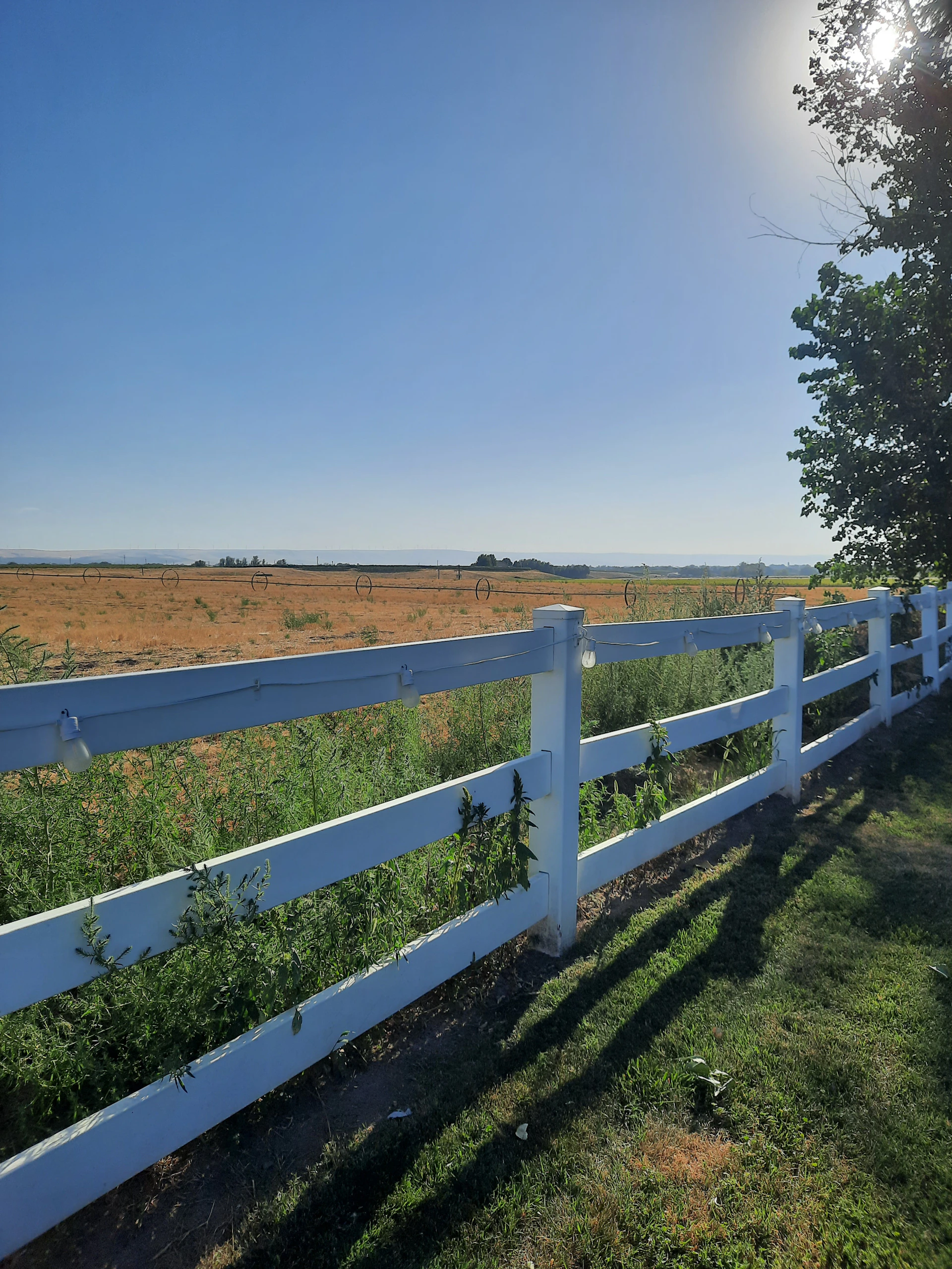 gray computer monitor