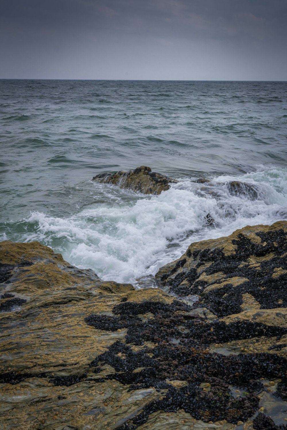 a rock outcropping in the middle of a body of water