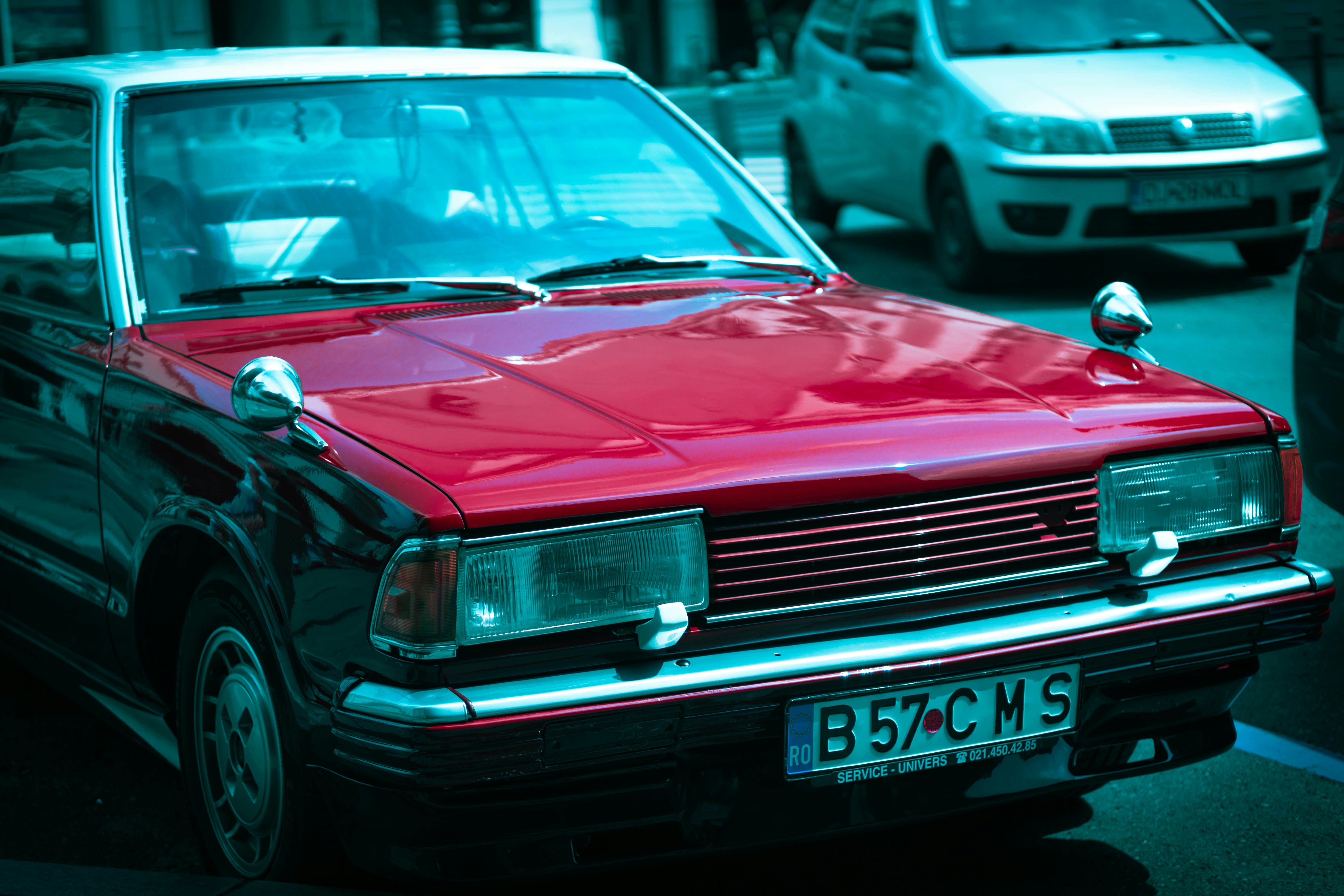 Photo by photosynthesis13