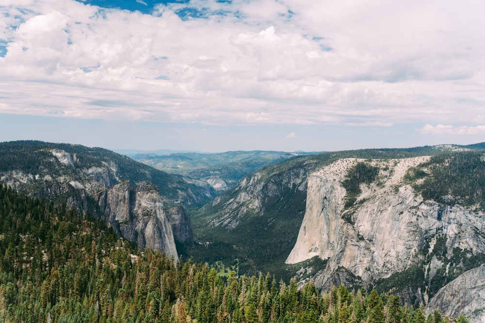 a scenic view of mountains and trees from a high viewpoint