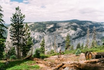 A scenic mountain landscape featuring a lush forest with tall pine trees, rugged cliffs, and a clear blue sky. Two hikers walk along a dirt path surrounded by greenery and fallen logs.
