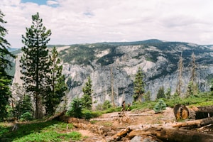 A scenic mountain landscape featuring a lush forest with tall pine trees, rugged cliffs, and a clear blue sky. Two hikers walk along a dirt path surrounded by greenery and fallen logs.
