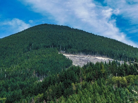 A lush green mountain covered with dense forest rises under a clear blue sky. There is a noticeable area of deforestation halfway up the slope where trees have been cleared, exposing the bare earth beneath.