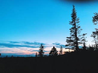 A serene black and silver landscape photo with a hint of purple twilight sky.