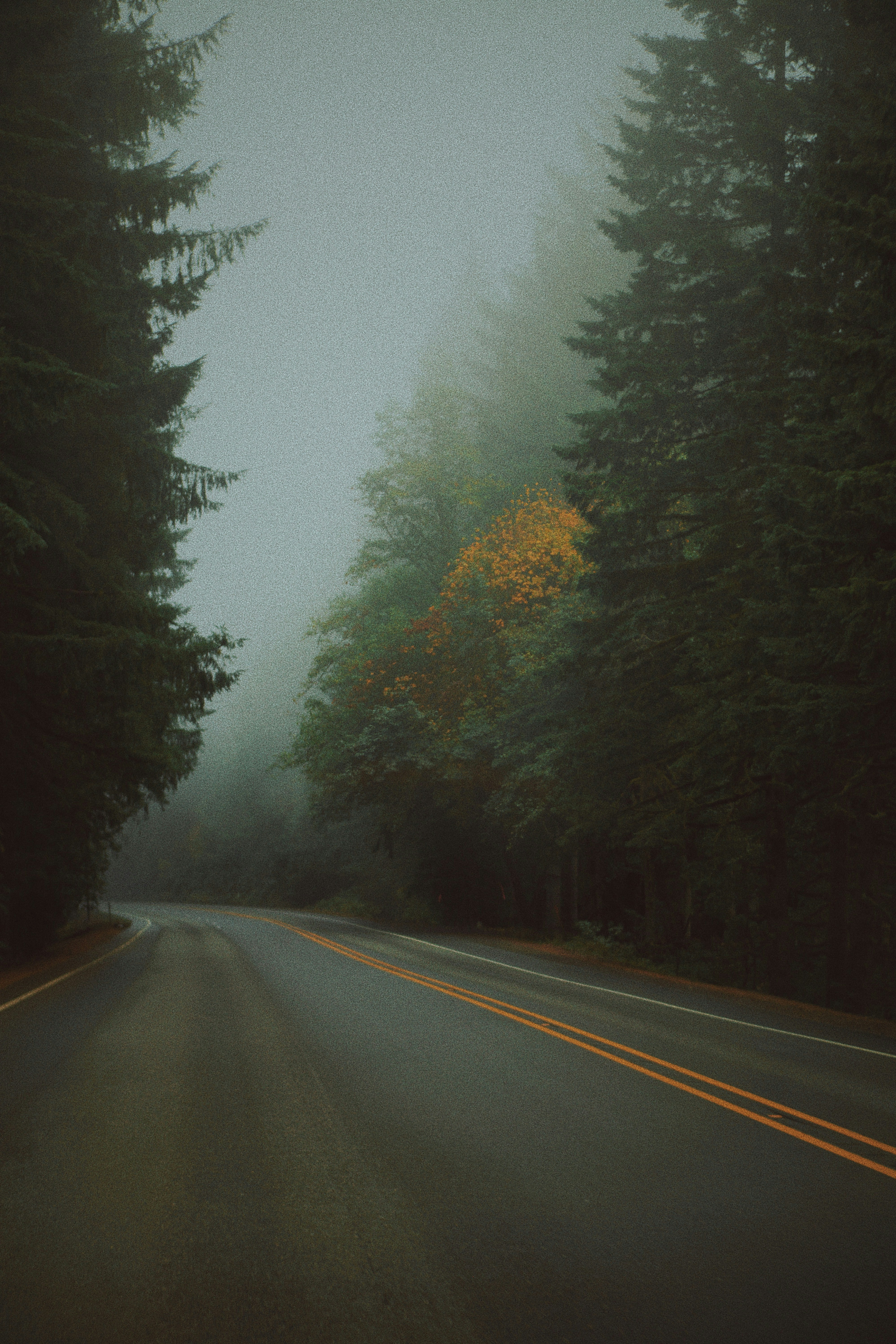 Photo by michaeljfali