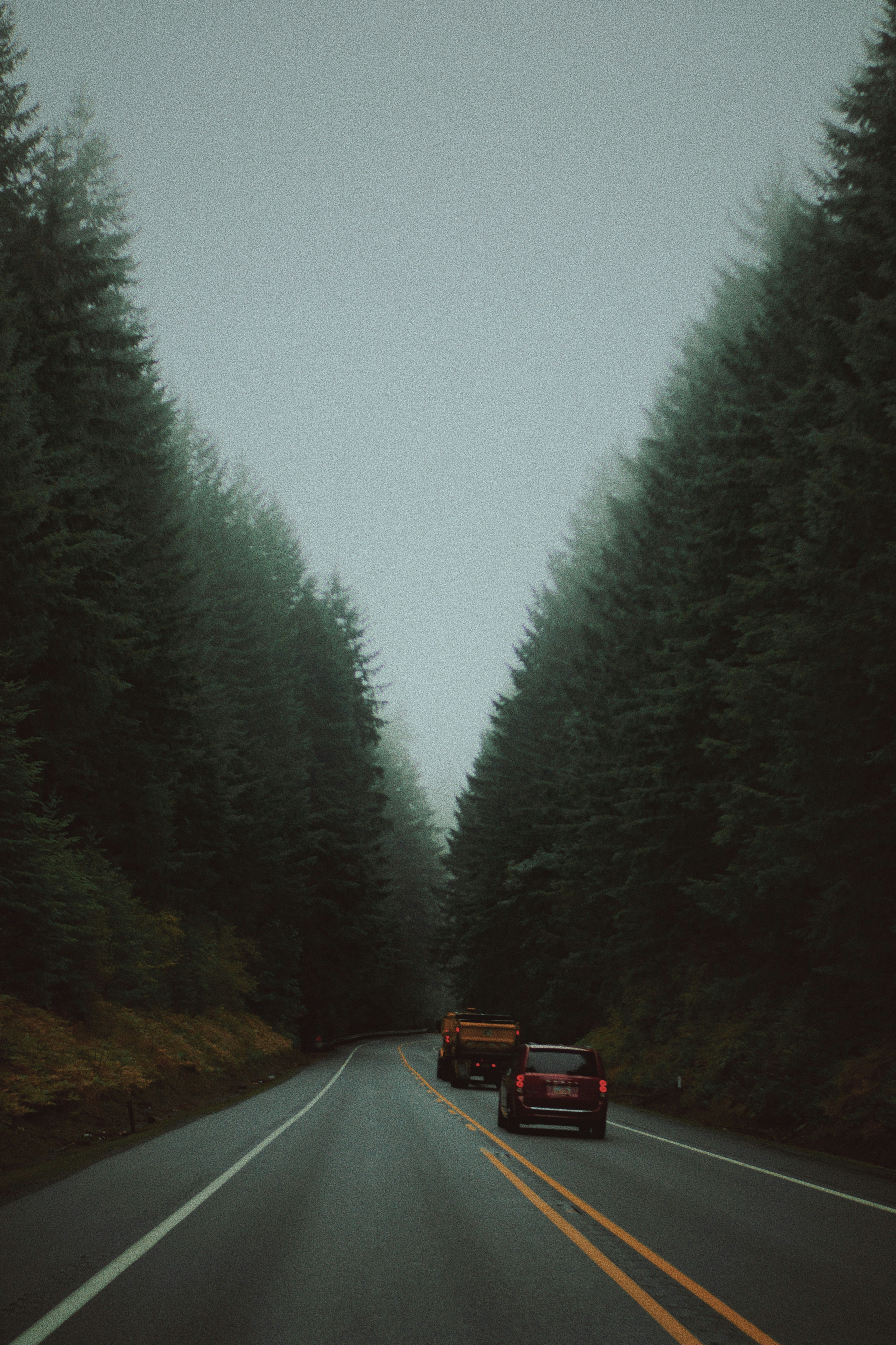 Photo by michaeljfali