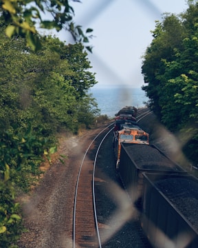 A freight train is traveling along a railway track surrounded by lush green trees. The train is carrying coal, and the scene is viewed through a chain-link fence, adding a textured foreground. In the distance, there is a body of water visible beyond the trees.