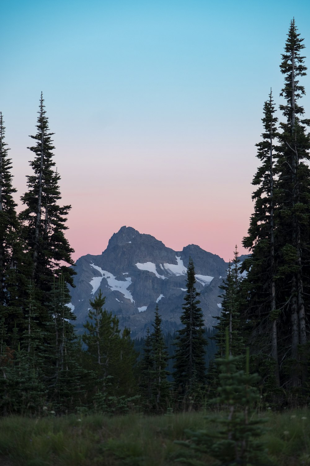 a view of a mountain with trees in the foreground