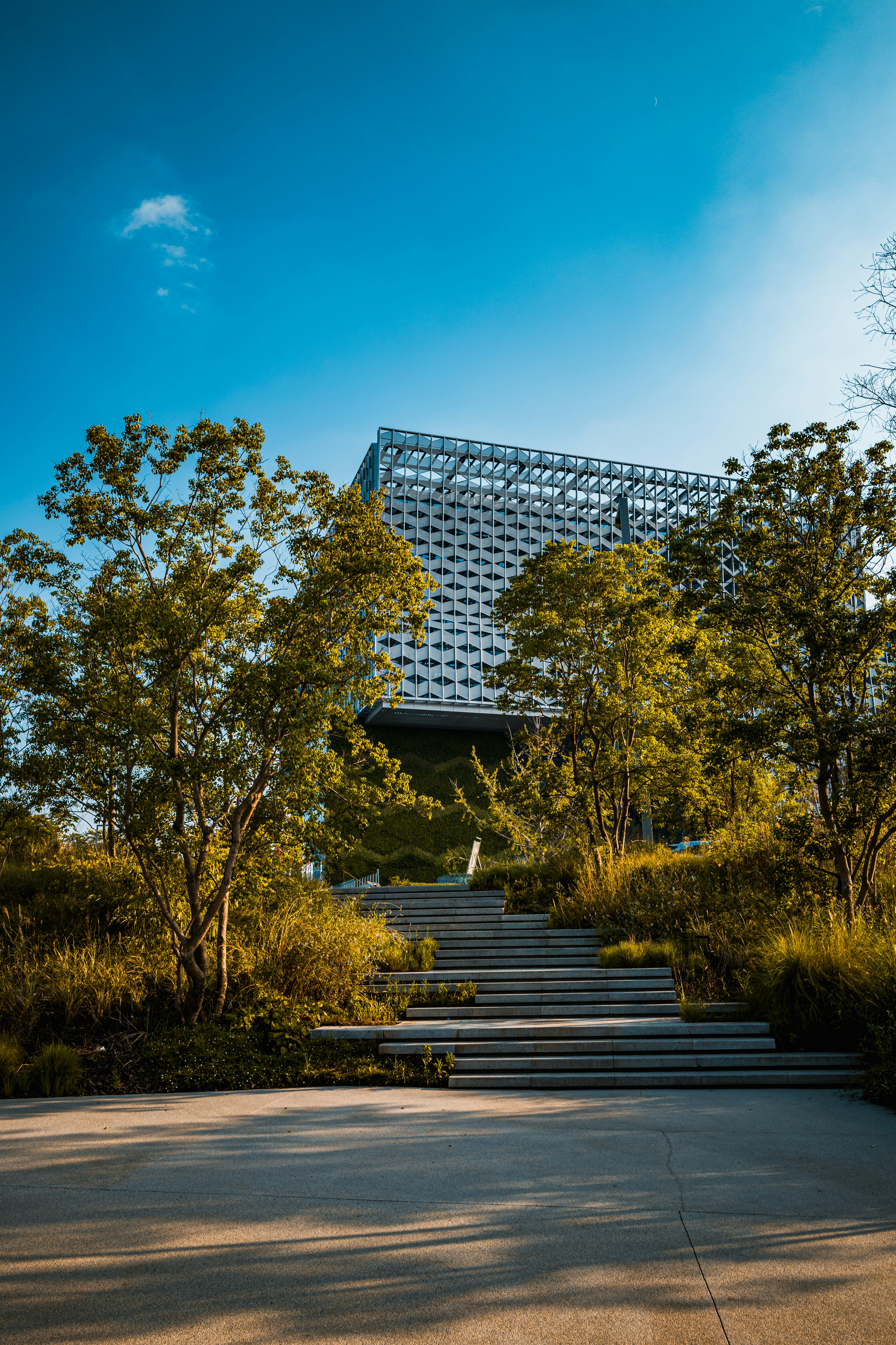 Chengdu People's Park photo 2