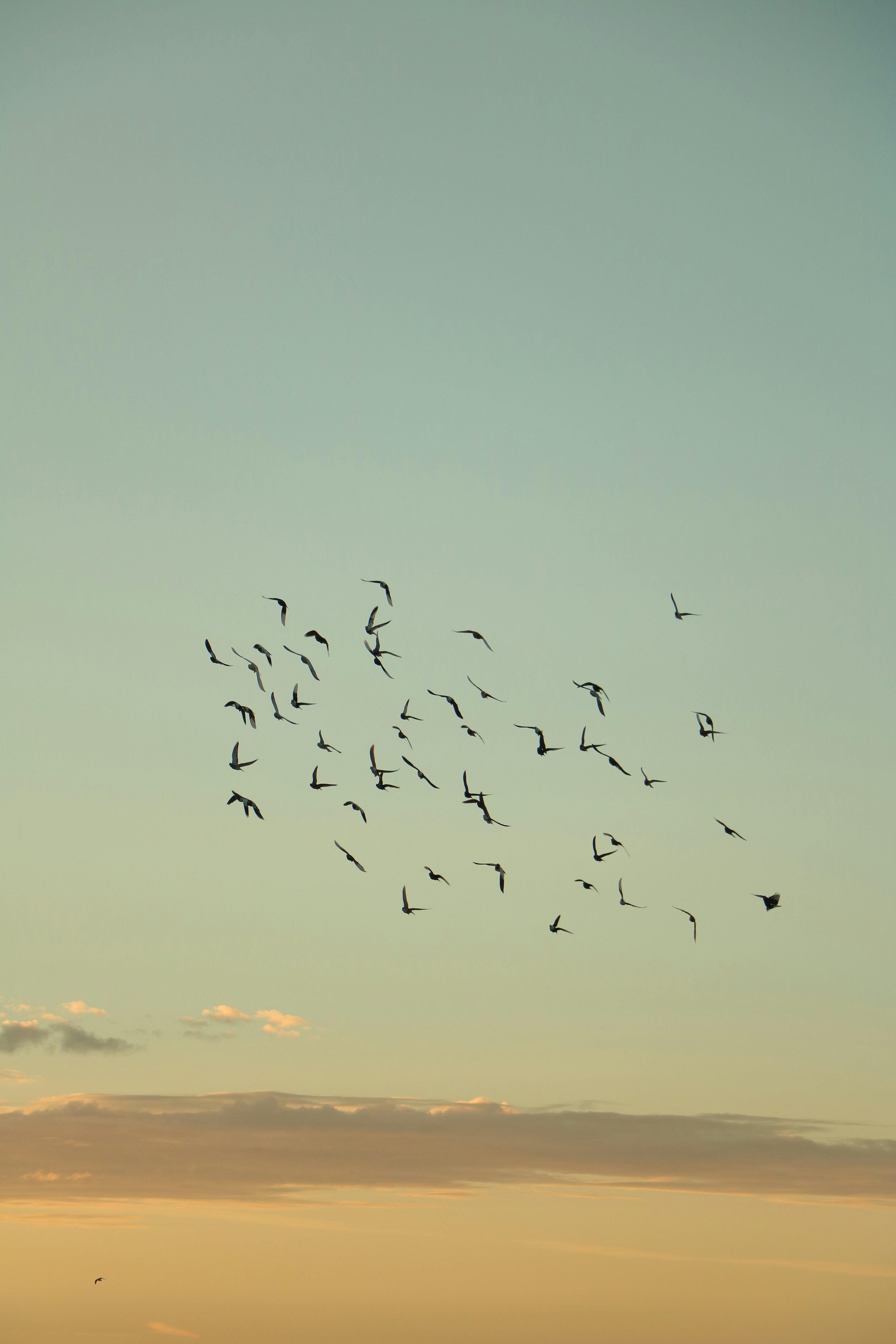 Photo by plasticlines