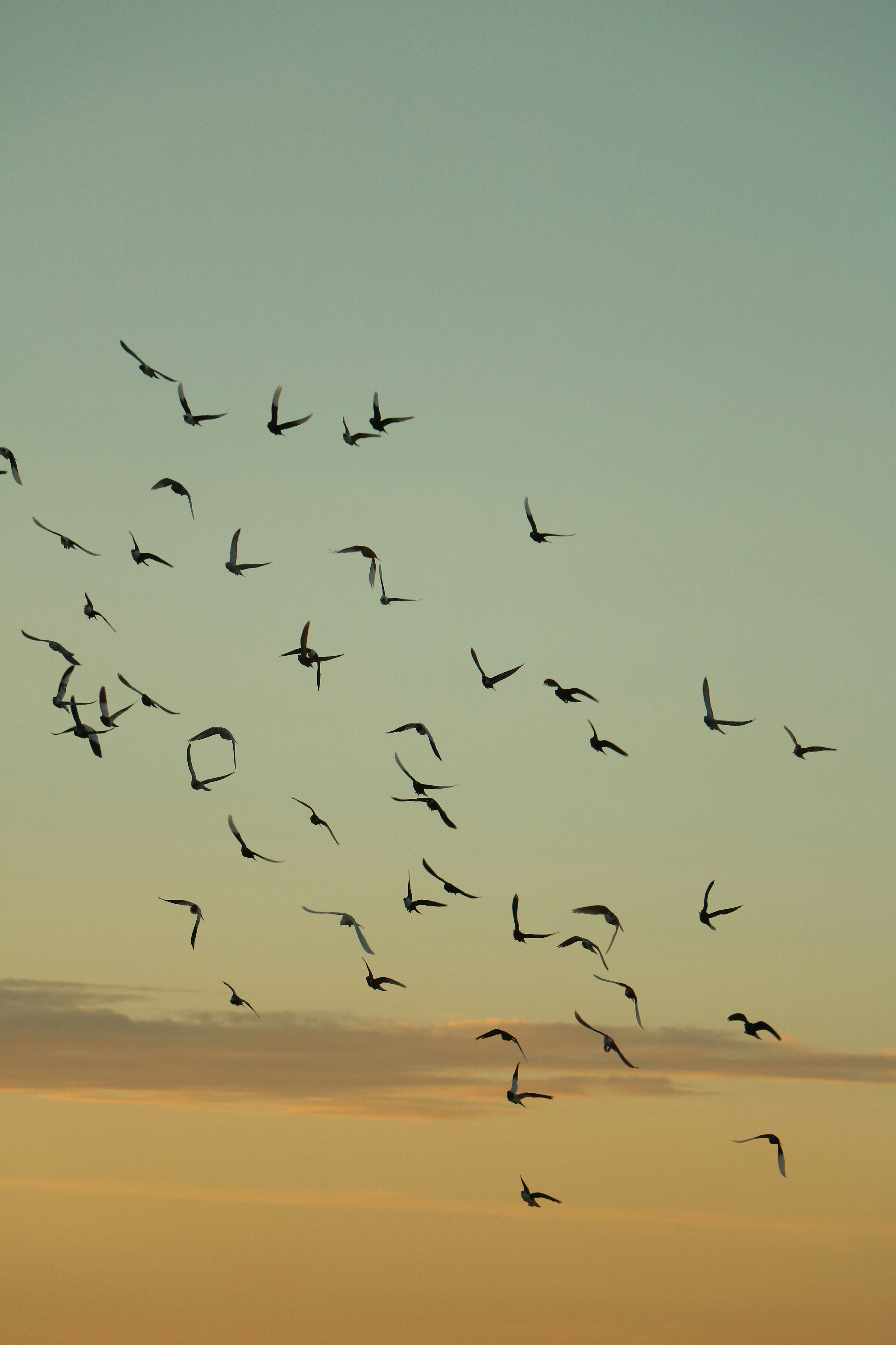 Photo by plasticlines