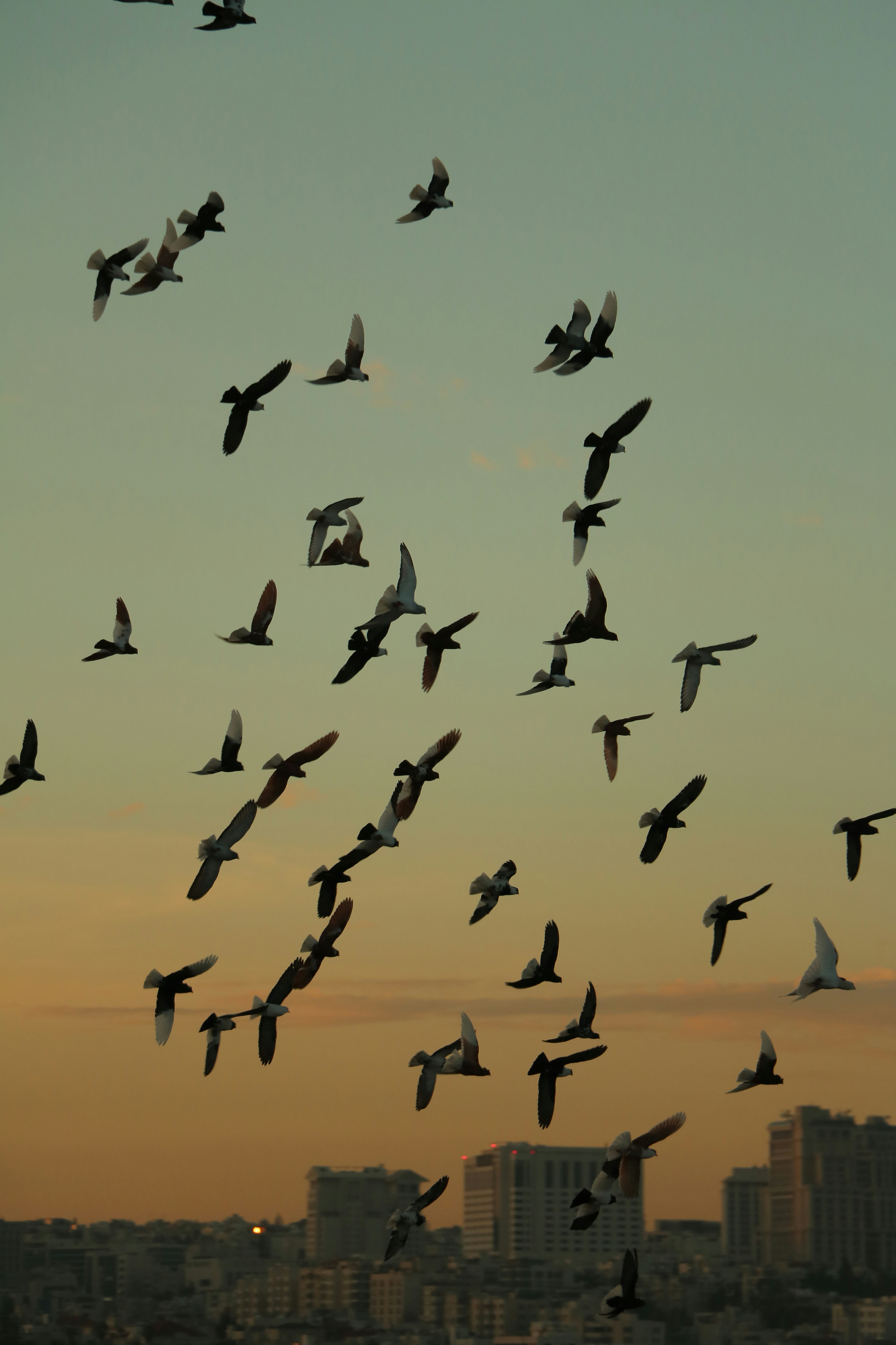 Photo by plasticlines